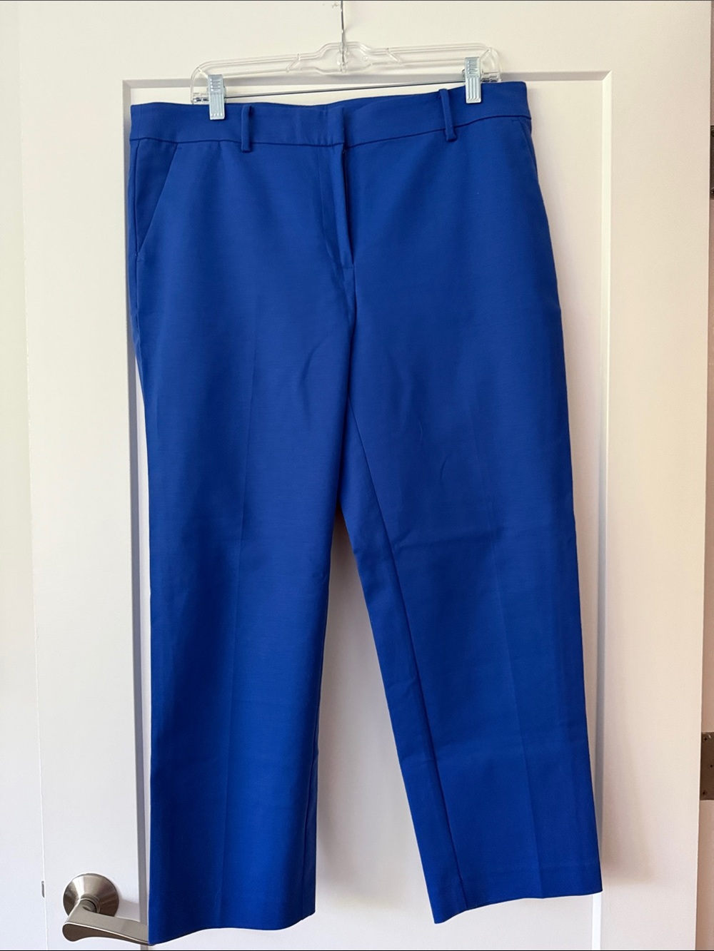 LOFT Straight Leg Dress Pants — Bright Blue